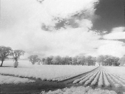 Fettercairn, Scotland, edition of 100