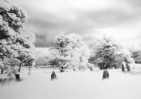 Sunhoney Stone Henge, Scotland, edition of 100